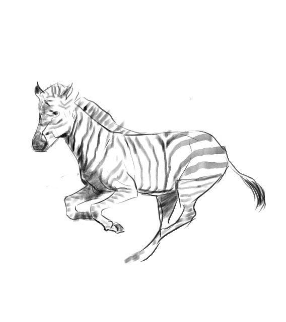 地铁上练习（动物篇）（图ZMTQ4MTk0NzQw） - 创作习作 - 站酷设计师S肚子爱画画D原创素材 - 站酷ZCOOL