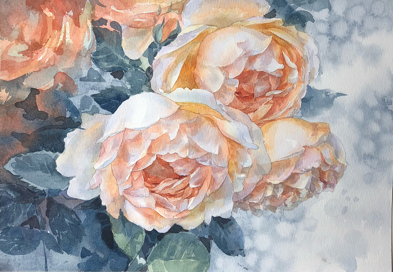 水彩花卉,手绘,阿诗水彩纸|纯艺术|绘画|丹彩y_原创作品-站酷(zcool)