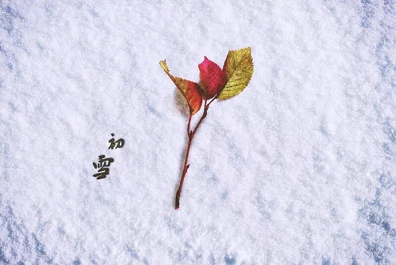 最近的一些杂图（图ZNTE1MDc2Mjg=） - 其他平面 - 站酷设计师苏破原创素材 - 站酷ZCOOL