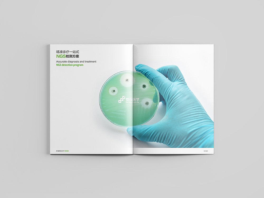 基因医疗手册风格（图ZMTc4MDg2NTI0） - 书籍/画册 - 站酷设计师a伟设计室原创素材 - 站酷ZCOOL