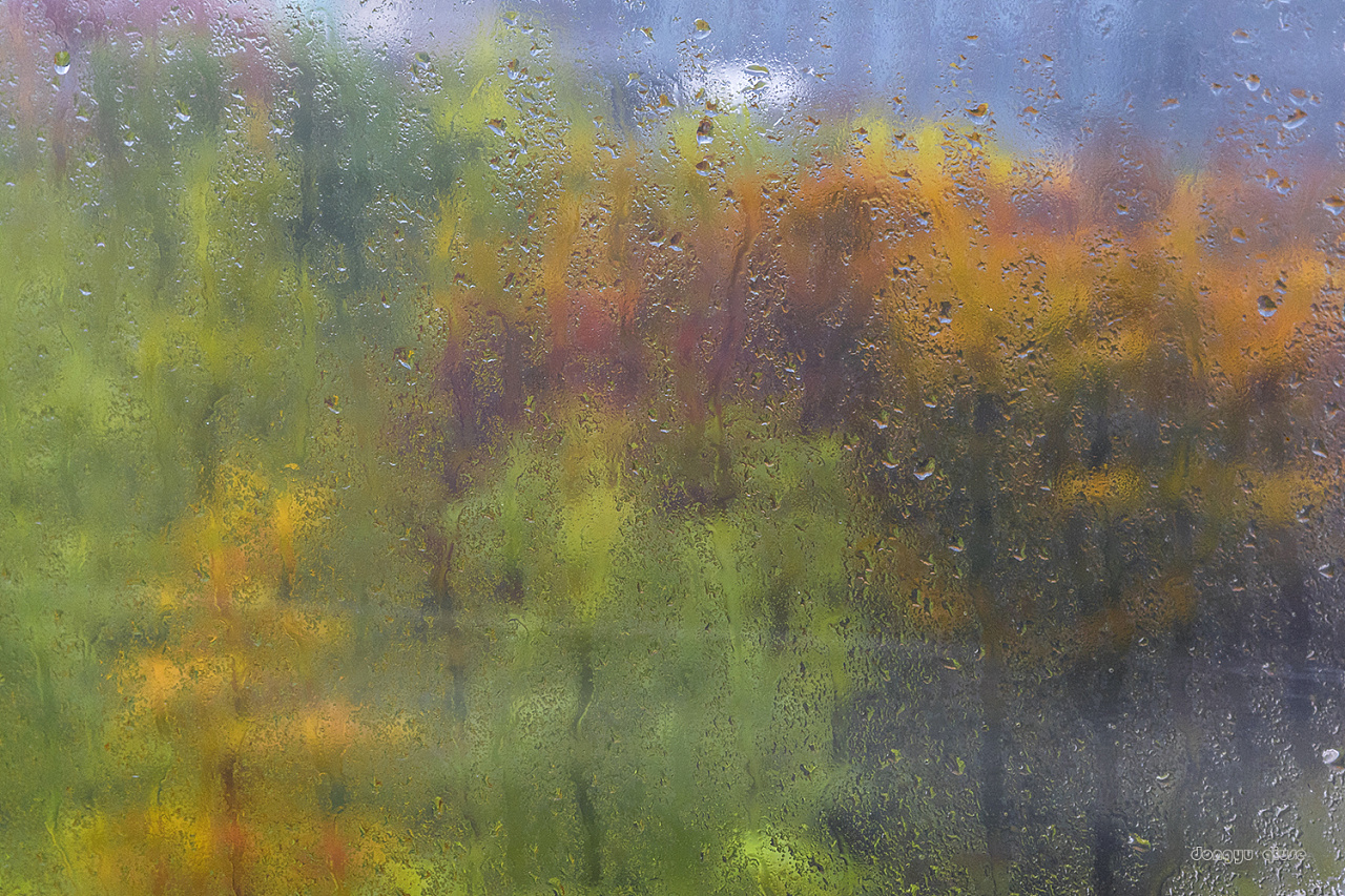 【冬雨。秋色】|摄影|风光摄影|老陆逍遥 - 原创作品 - 站酷 (ZCOOL)