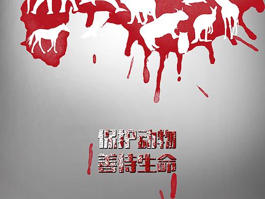 保护动物