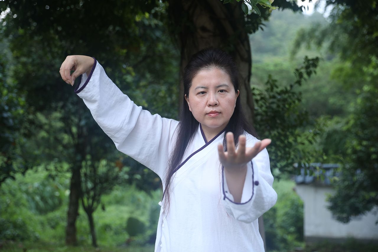 武当道致·理淳