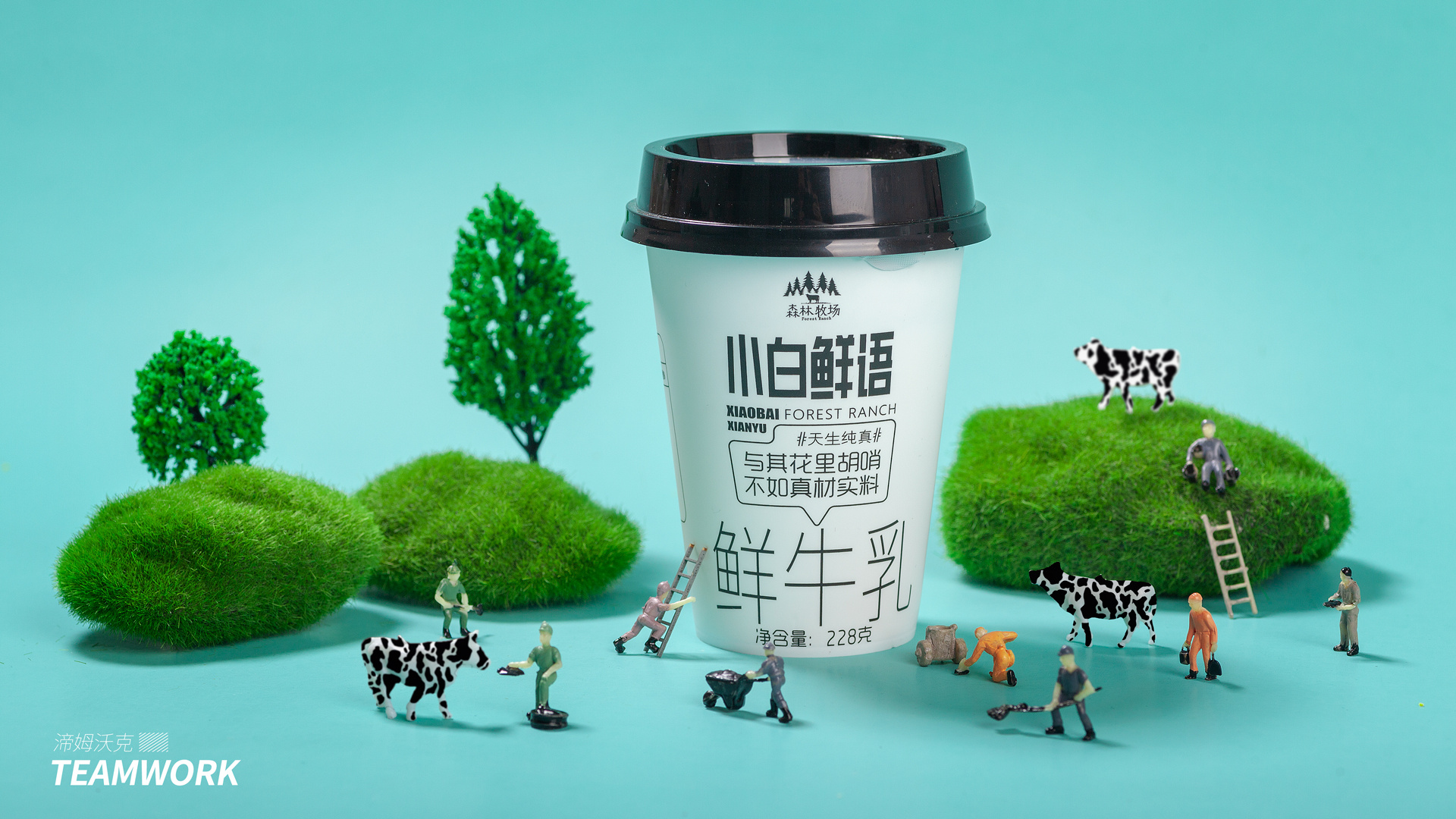 云南乍甸森林牧场鲜牛乳牛奶