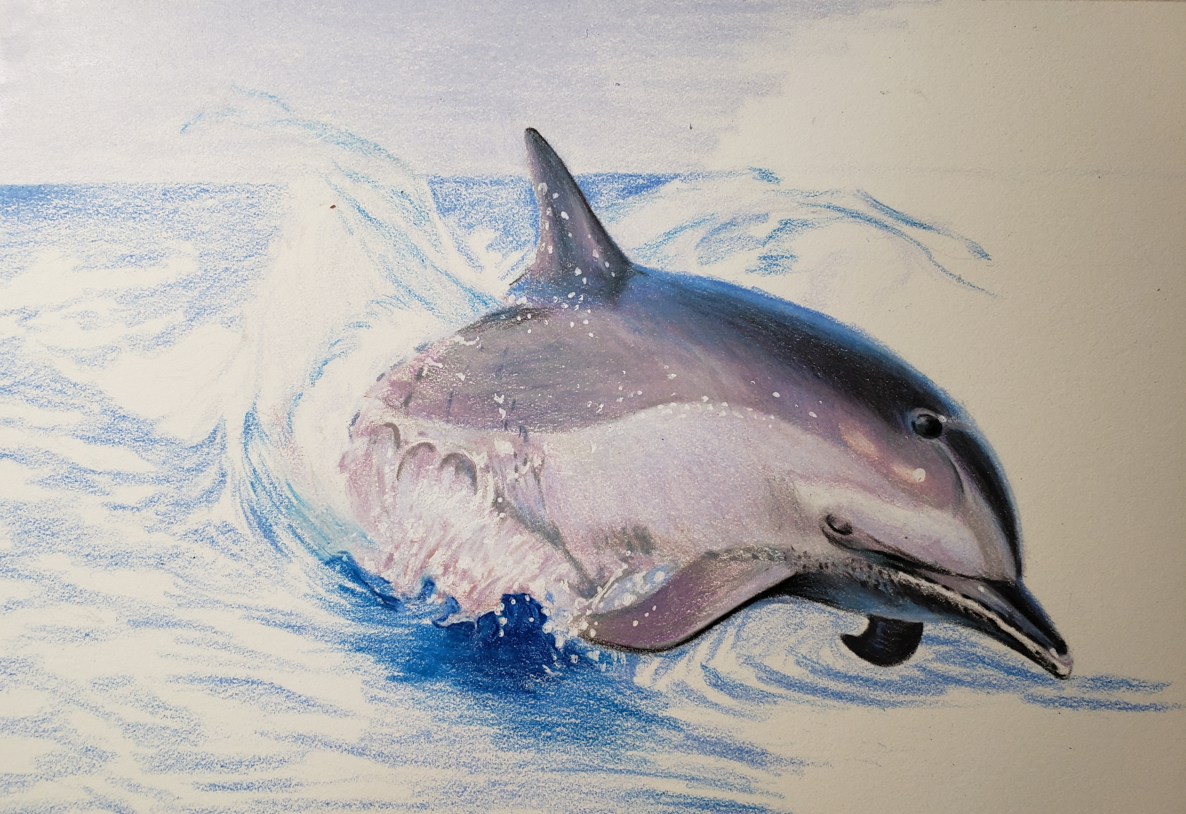 海洋生物怎么画彩铅图片