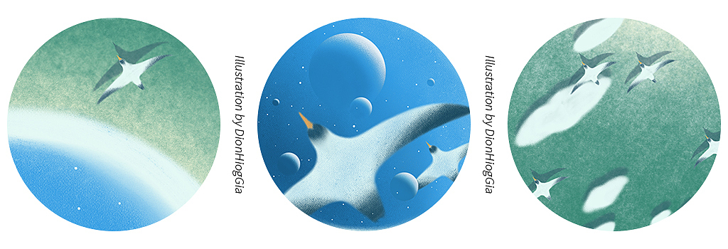 飞扬 | 系列插画汇总（图ZMjM2NjY3NzI4） - 艺术插画 - 站酷设计师张旭加XujiaZhang原创素材 - 站酷ZCOOL