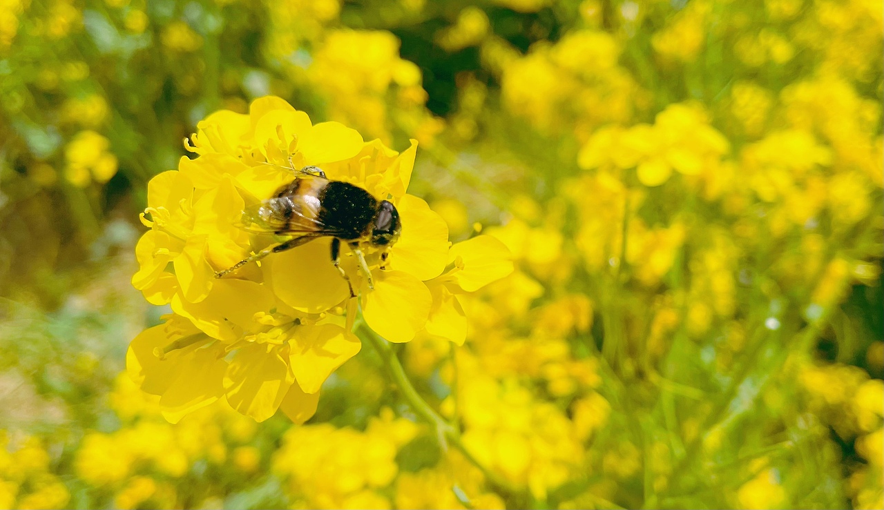 春·尾（图ZMjk3NjE3NzE2） - 风光摄影 - 站酷设计师设计狮摄影狮原创素材 - 站酷ZCOOL