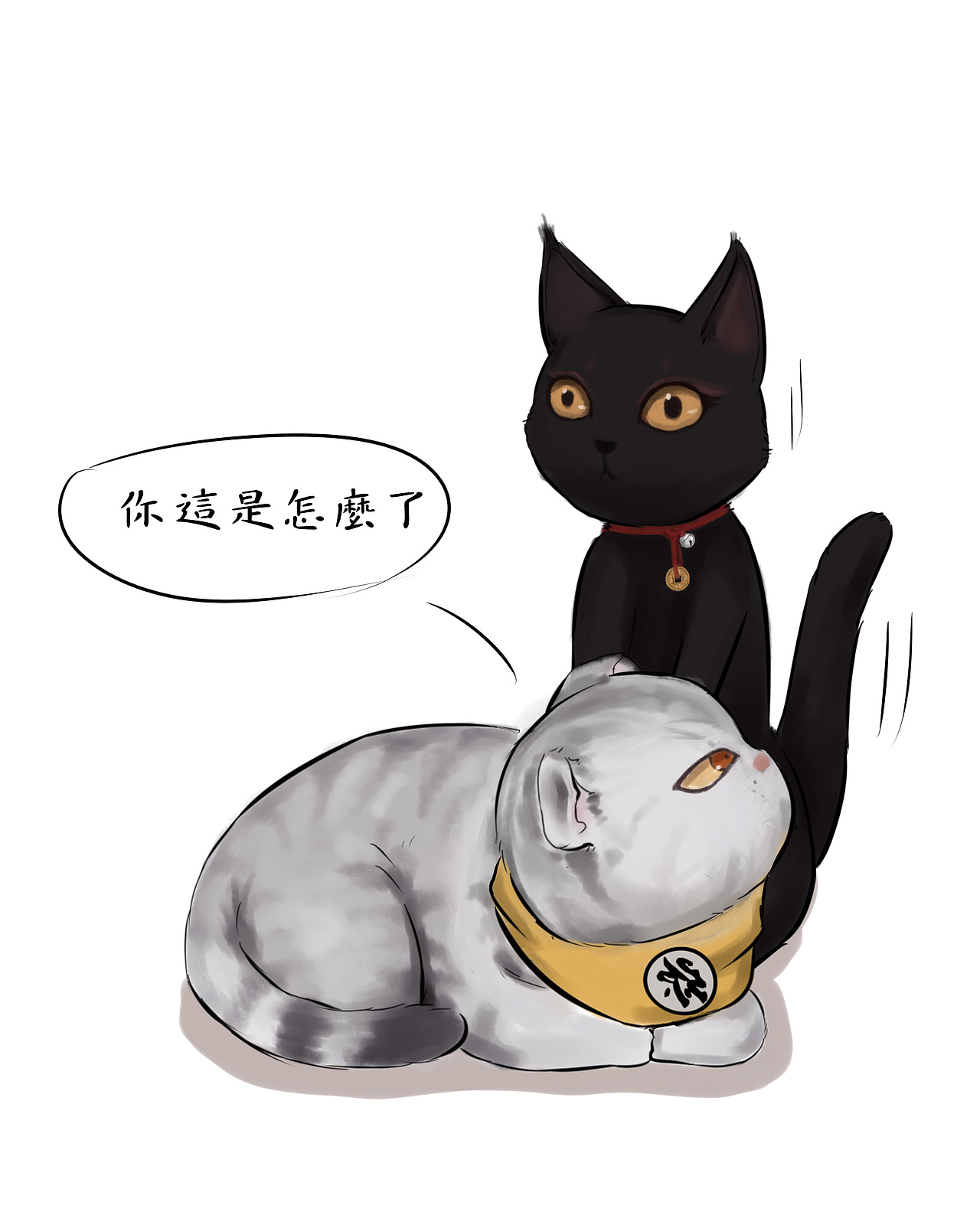 从喵眼中看灵异事件