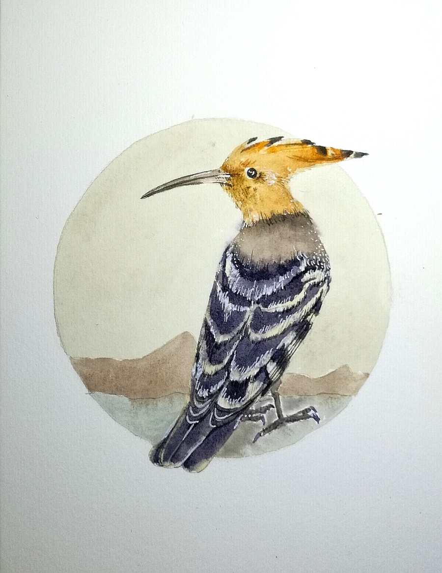 水彩画一美丽的小鸟