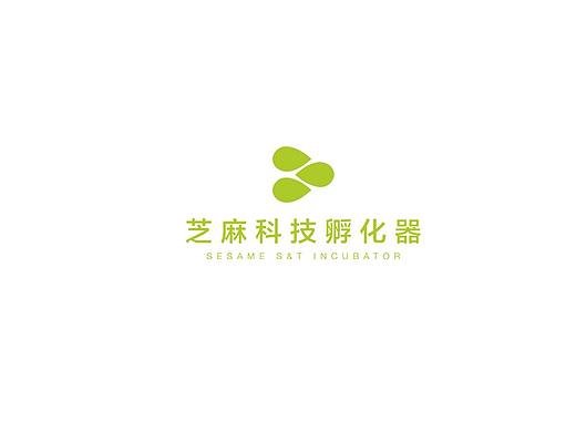 芝麻项目