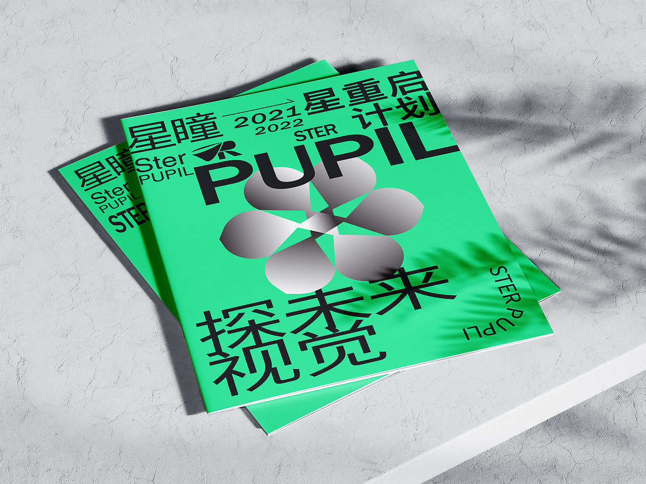 "星瞳“VR科技品牌VI设计