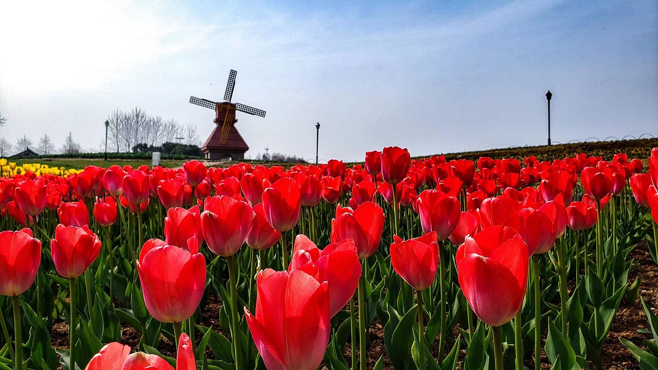 一些历代手机的照片