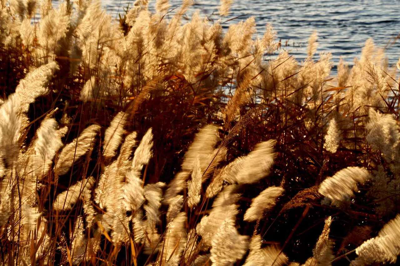 风光2（图ZMzU3NjkwNTc2） - 风光摄影 - 站酷设计师税翔原创素材 - 站酷ZCOOL