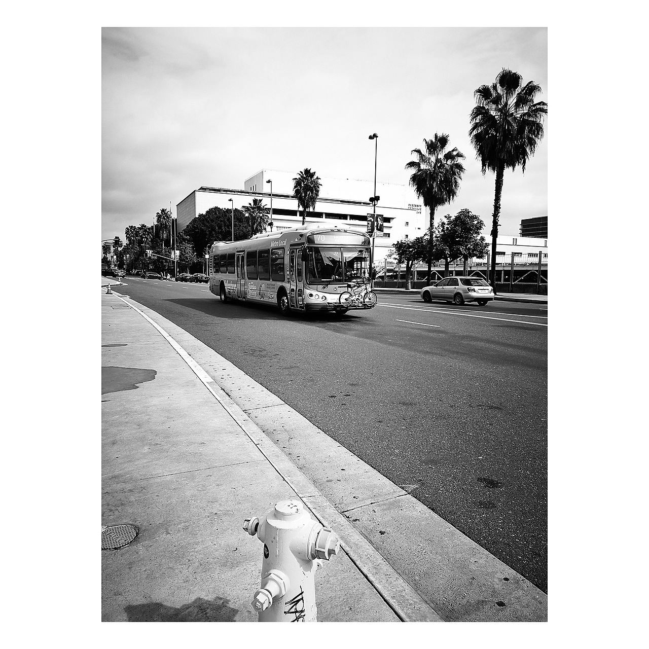 [手机摄影]二月美西，穿梭在海洋与雪地