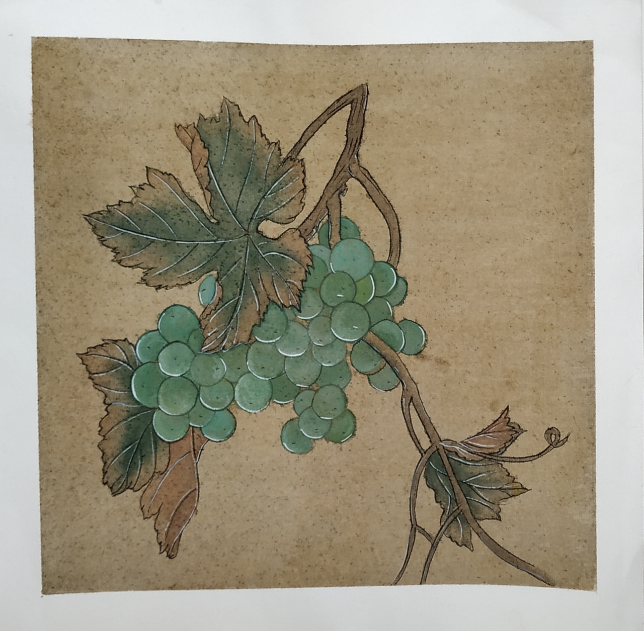 葡萄熟了|其他|其他|月半哒 - 临摹作品 - 站酷 (zcool)