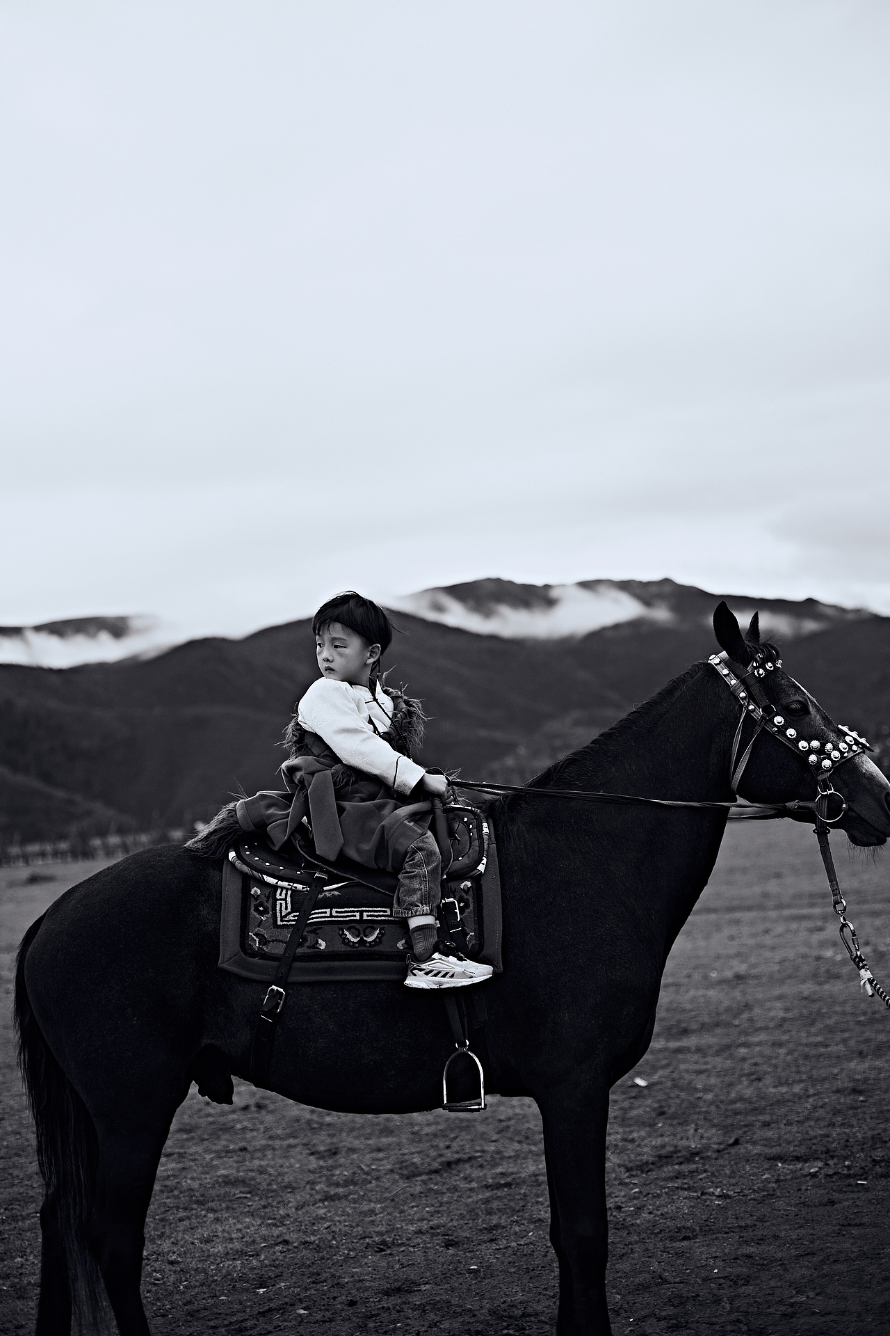 云南香格里拉 依拉草原