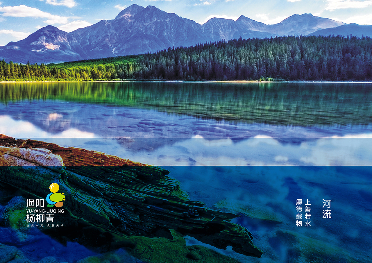 渔阳杨柳青品牌标志提案