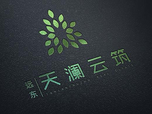 天澜云筑视觉方案