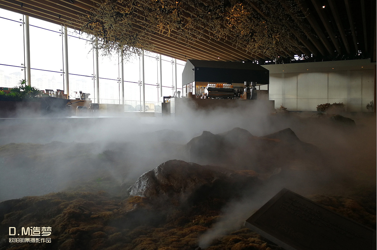 高晓松晓岛图书馆摄影大悦城度刻文艺青年图书馆拍摄