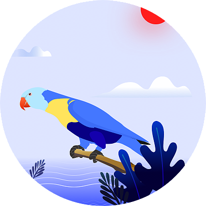 鹦鹉（图ZMTE5Njc0ODgw） - 新锐潮流插画 - 站酷设计师MEI华原创素材 - 站酷ZCOOL