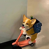 Ke_Sheng的头像