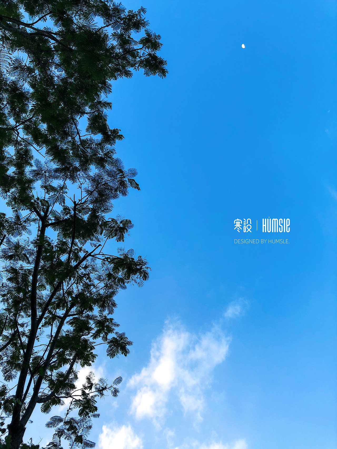 随手拍,走到哪,拍到哪。