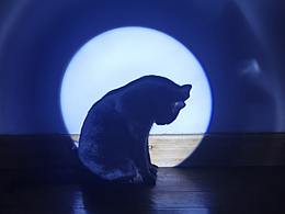 二田的独舞