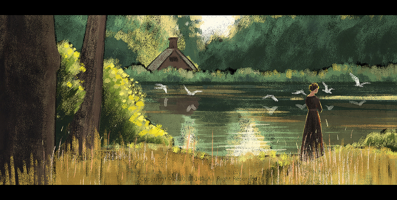 《傲慢与偏见》插画｜合集（图ZMjM2OTY4ODky） - 创作习作 - 站酷设计师顾小屿原创素材 - 站酷ZCOOL