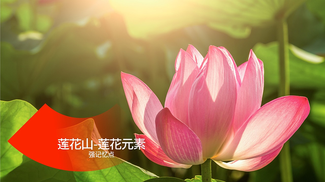 广州莲花山旅游区