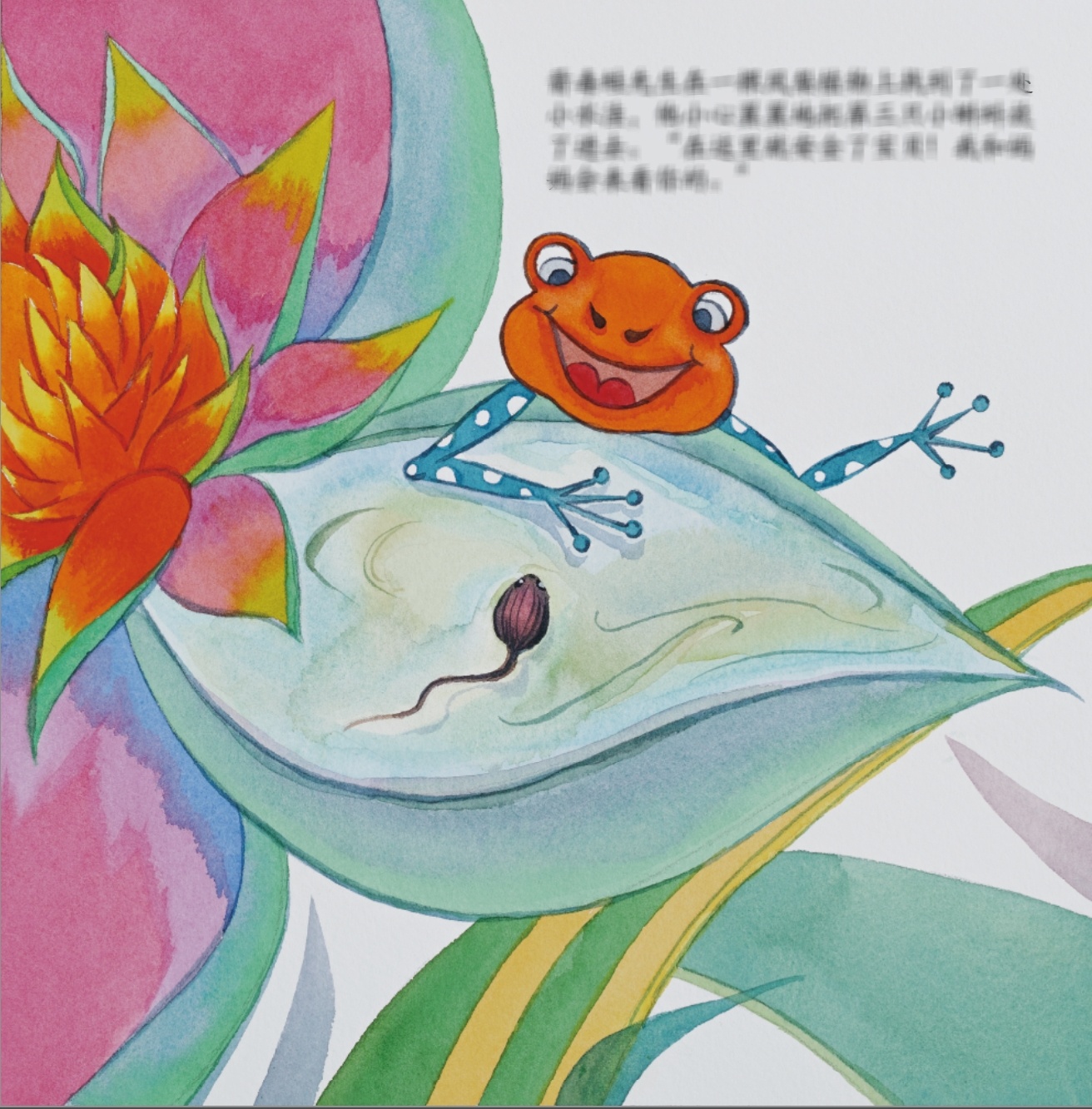 完成了手绘水彩绘本《箭毒蛙先生》|插画|儿童插画|sisi爱做梦 - 原创