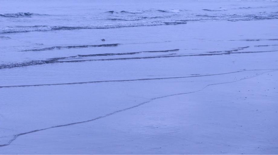 深夢(mèng)dream的個(gè)人主頁（背景預(yù)覽） - 主頁背景設(shè)置 - 站酷設(shè)計(jì)師深夢(mèng)dream原創(chuàng)素材 - 站酷ZCOOL