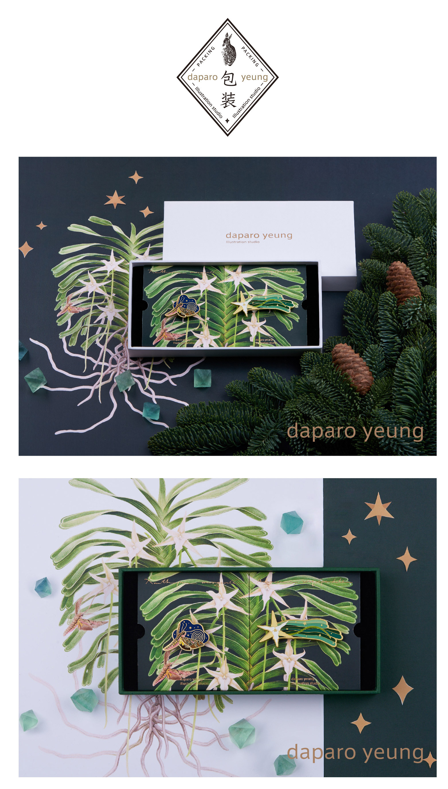 「daparo yeung」大彗星风兰,长喙天蛾胸针设计