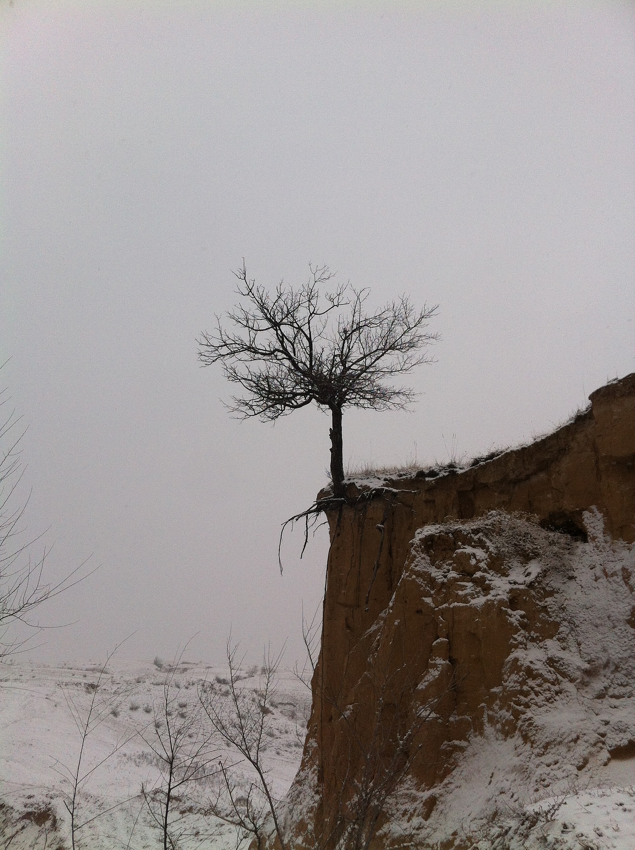 雪后（图ZNDI0NDQwOTI=） - 风光摄影 - 站酷设计师日尧丰色原创素材 - 站酷ZCOOL