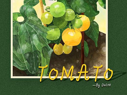 水彩手绘小番茄