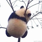 掉了via的头像