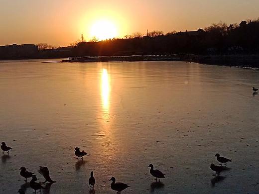 悠閑時光（個人主頁-ZMzI2NDYwOTI=） - 人文/紀(jì)實攝影 - 站酷設(shè)計師繪本窗邊的小豆豆原創(chuàng)素材 - 站酷ZCOOL