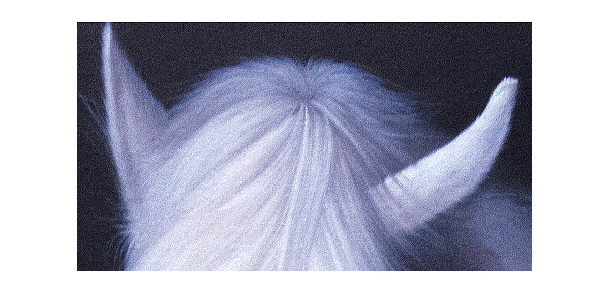 【圣墨尊宝】作品集-马-13（图ZMTQyMDY1NjE2） - 绘画 - 站酷设计师圣墨尊宝原创素材 - 站酷ZCOOL