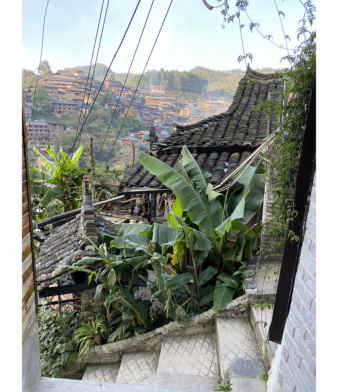 苏武钢笔插画《老屋》写生创作过程