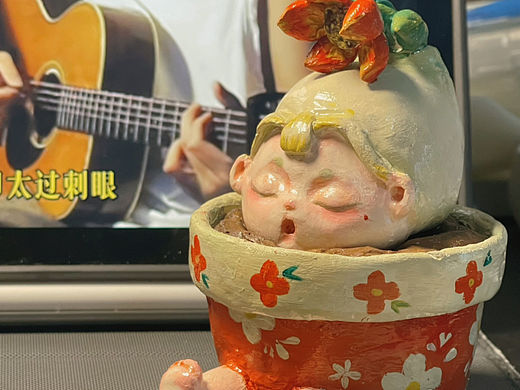 养盆植物吧|虞美人