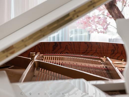 厦门曾厝垵与白客栈