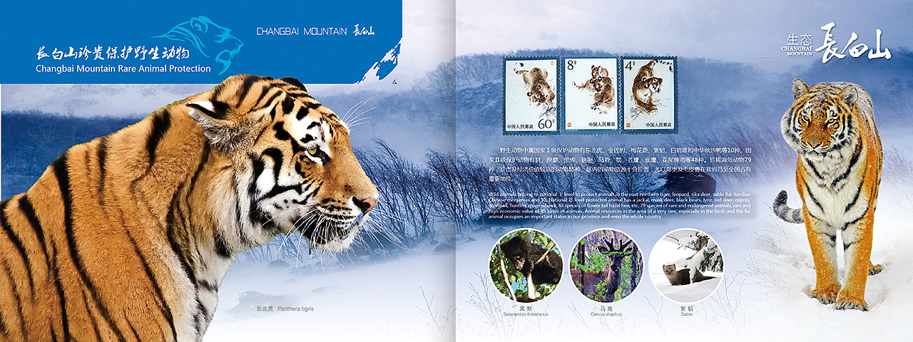 长白山生态文化节-邮册