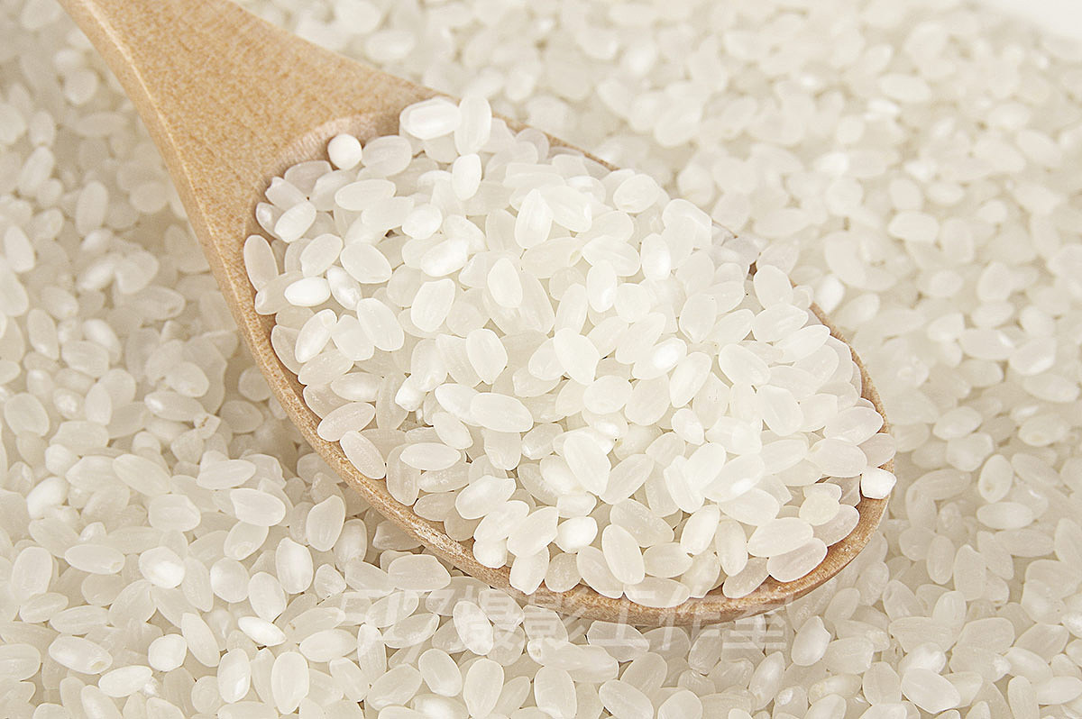 大米粒近景实拍 棚拍 五谷杂粮拍照 网拍 淘宝详情图片