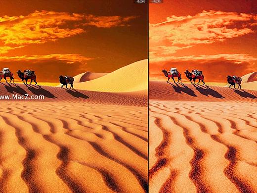 沙漠戈壁摄影橙色调色处理lr预设