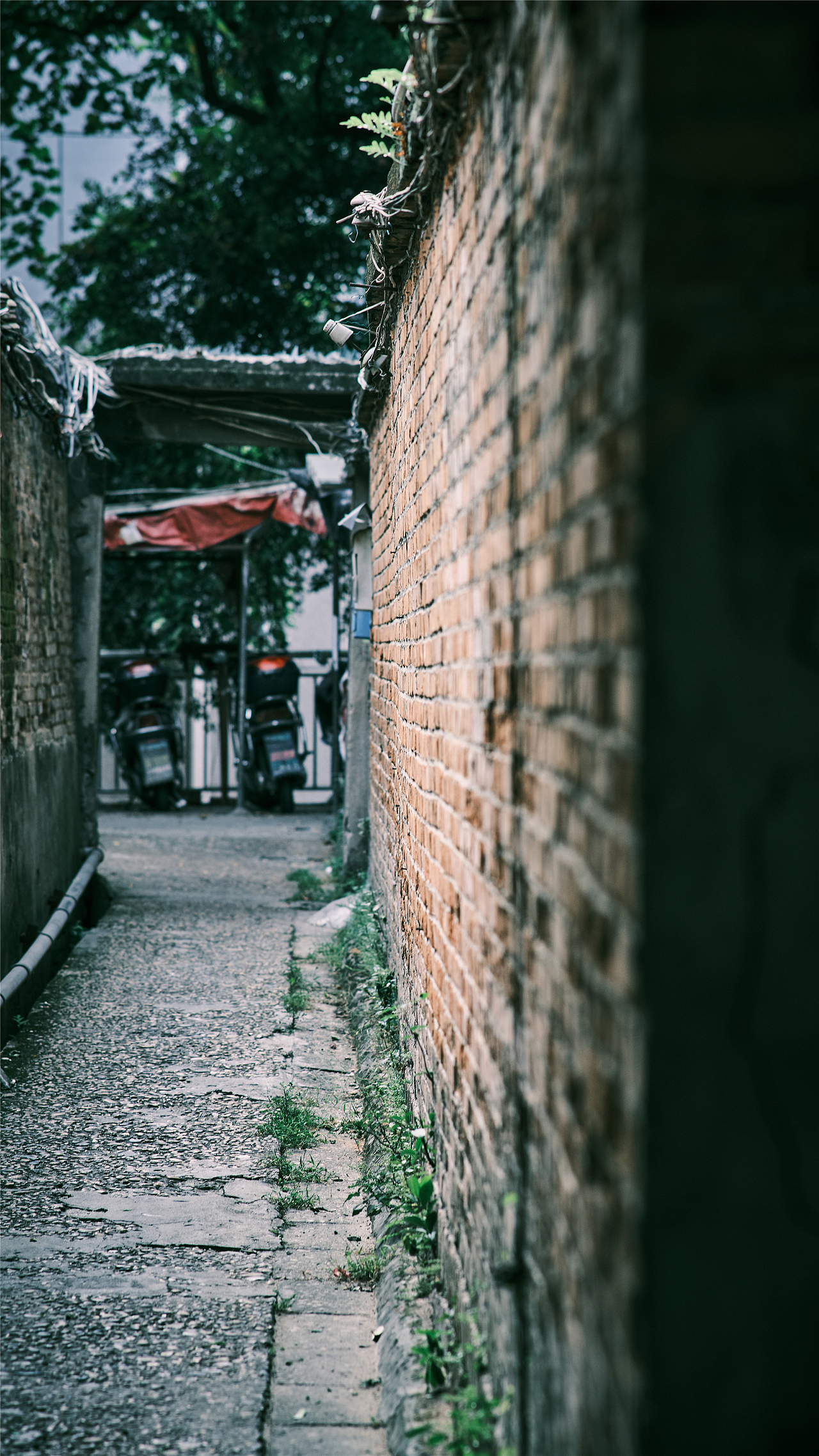 午后の烟台山~~~~