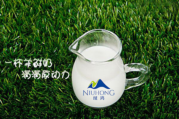 大连纽鸿羊奶（图ZODQ3NDI1Mjg=） - 宣传物料 - 站酷设计师小天使1号原创素材 - 站酷ZCOOL