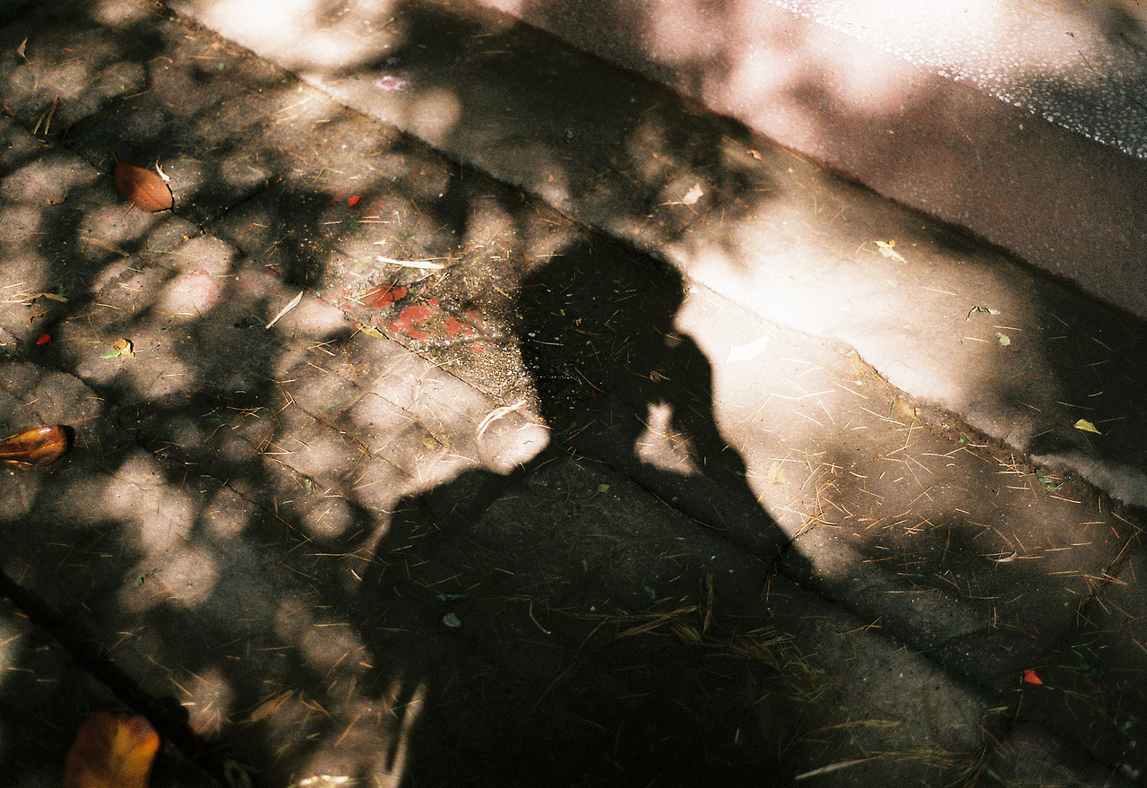 吴熙玮和他的胶片