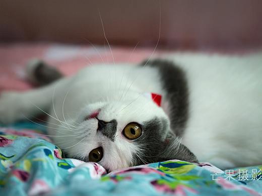 童真