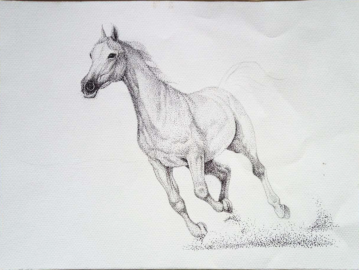 《素骥》--原创钢笔画
