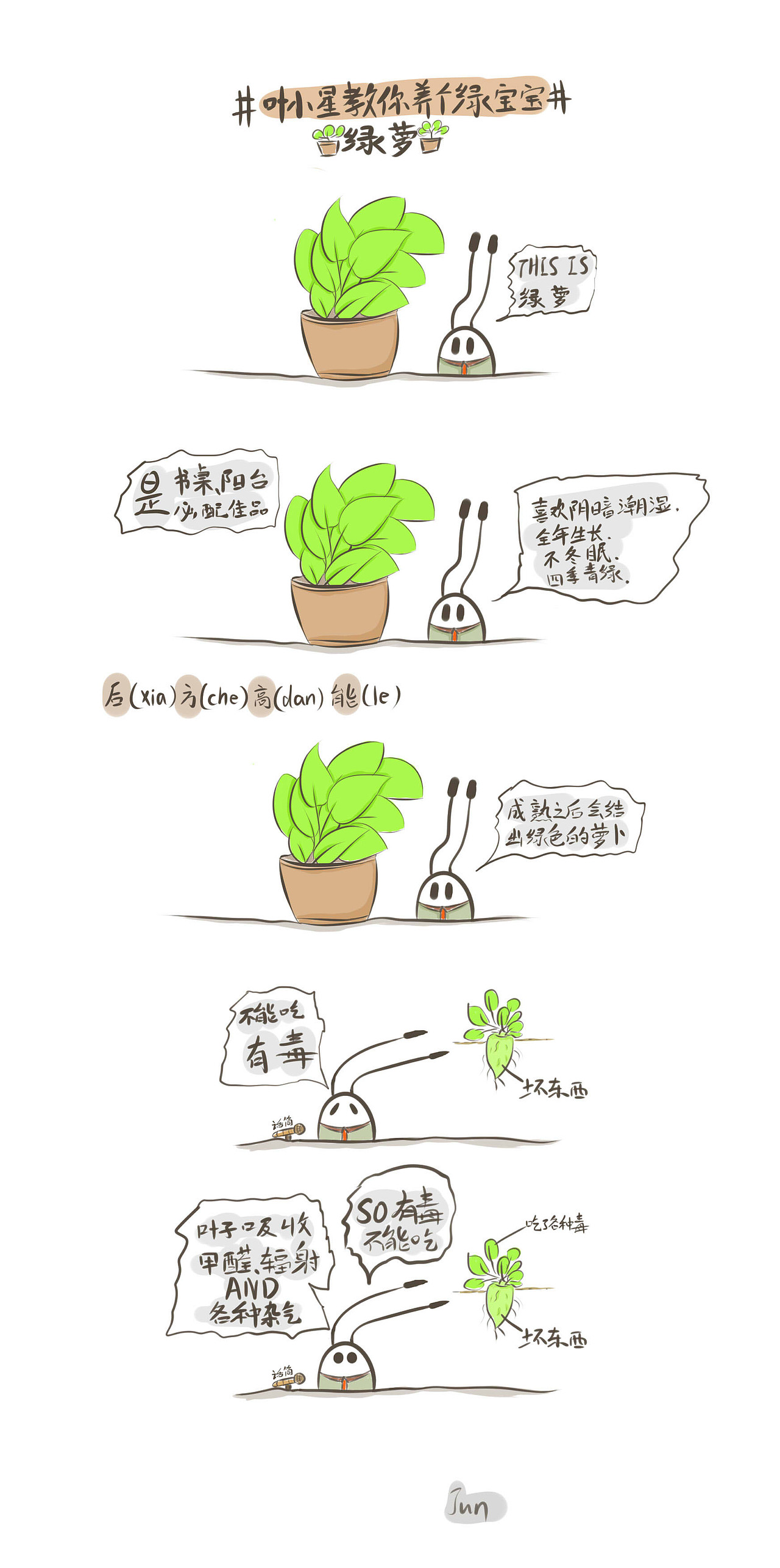 叶小星教你养个绿宝宝之绿萝