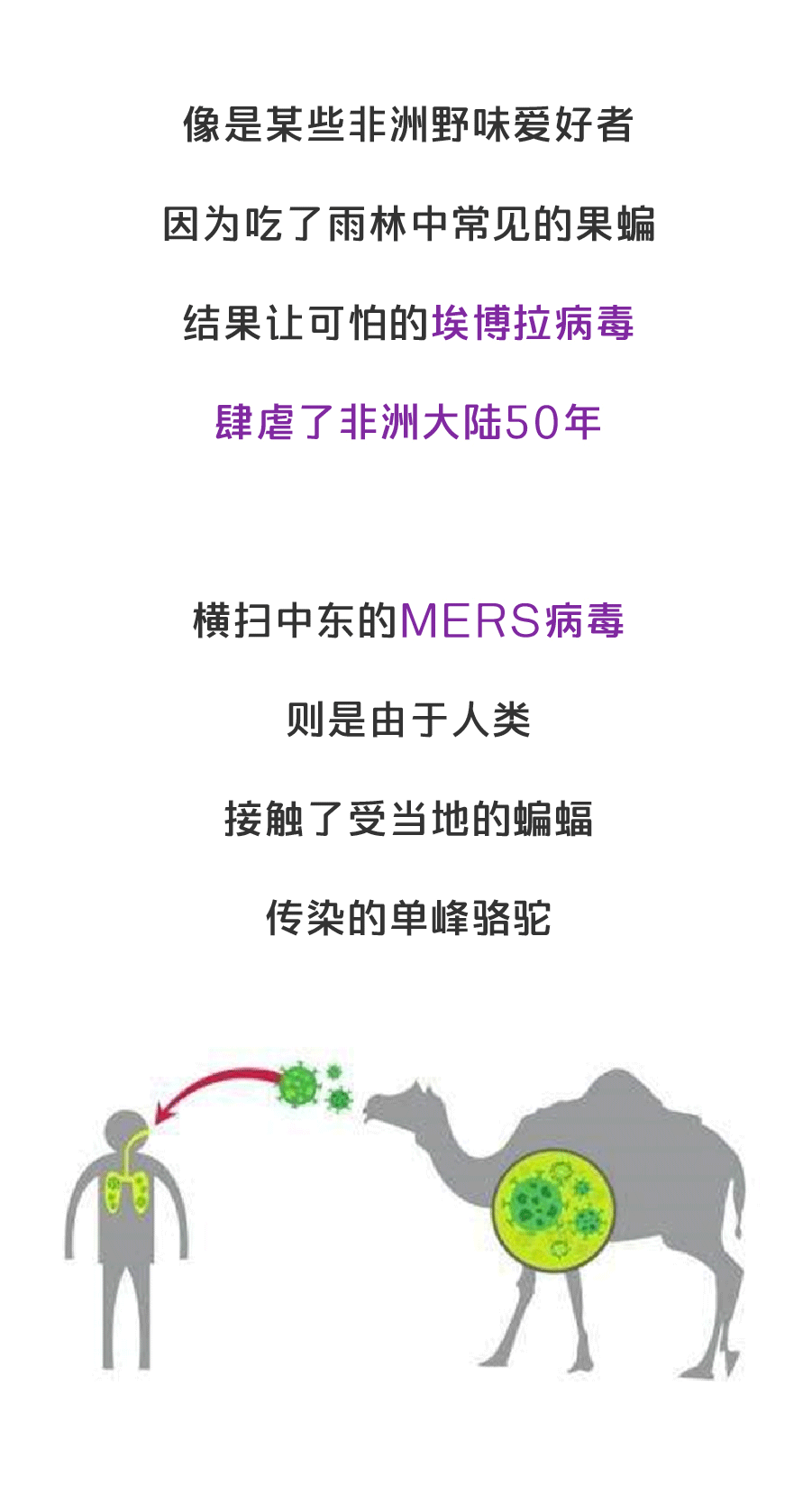 疫情之后，人类能不能拒绝吃野味？（图ZMTk1Mjc4MzQ0） - 中/长篇漫画 - 站酷设计师缸灿食话原创素材 - 站酷ZCOOL